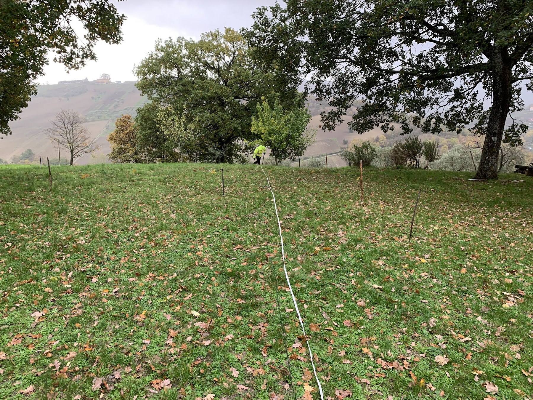 Stendimento in area verde